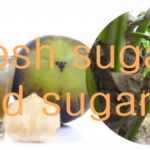 Fresh sugar and sugarcane s